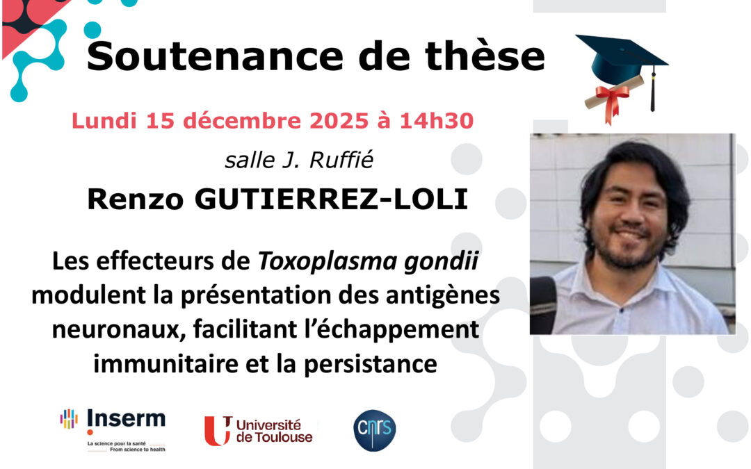 Soutenance Renzo GUTIERREZ-LOLI