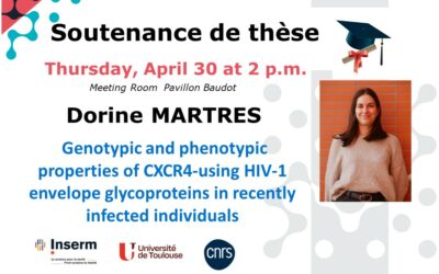 Thesis defense Dorine MARTRES