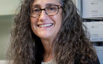 Emerging RNA viruses and memory impairments