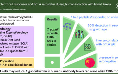 Monitoring HLA-A2-Restricted T-Cell Responses and BCLA-Specific Serostatus During Human Latent Toxoplasma gondii Infection Suggests the Implication of CD8+ T Cells in Parasite Containment